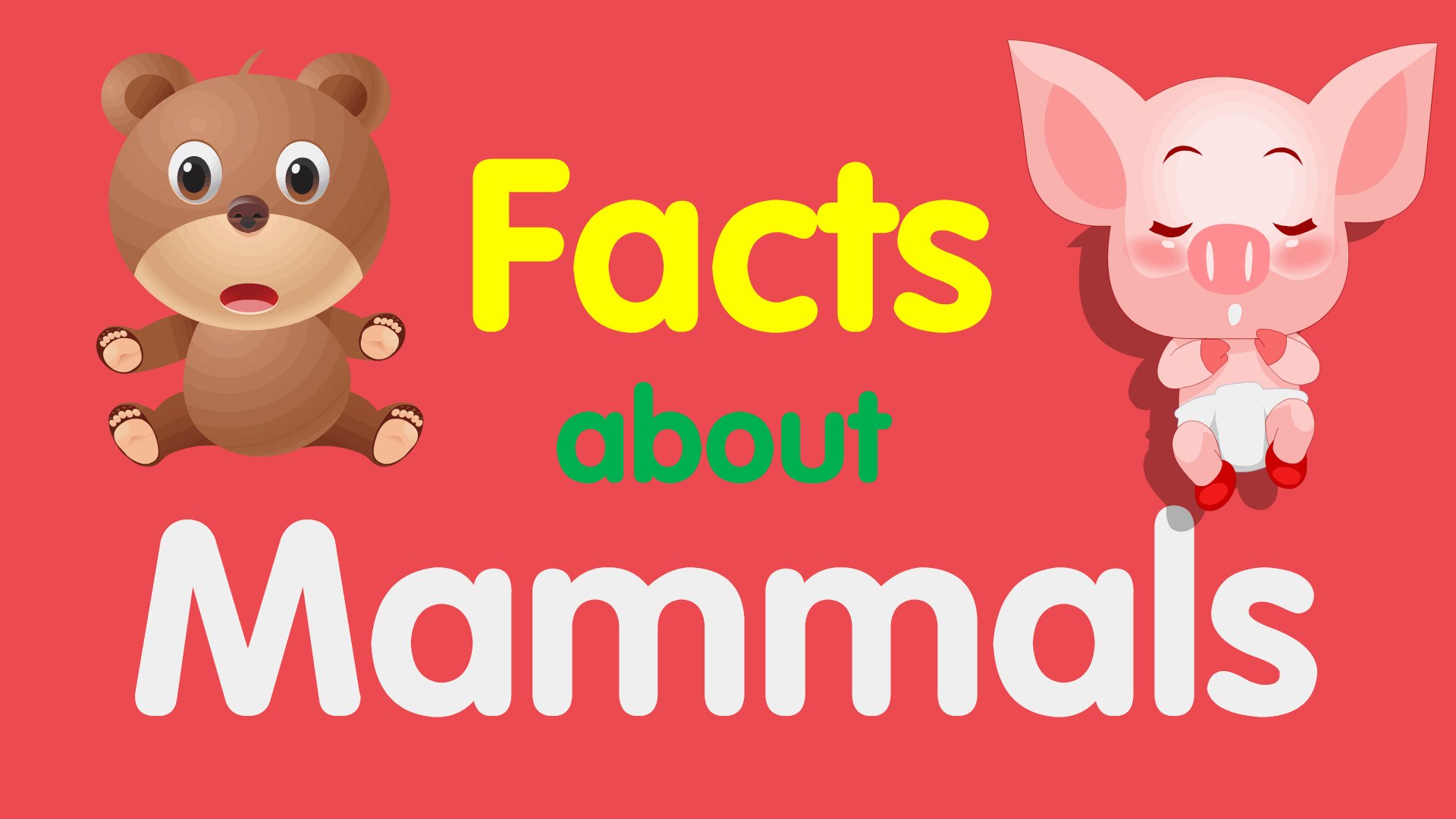 Facts about mammals