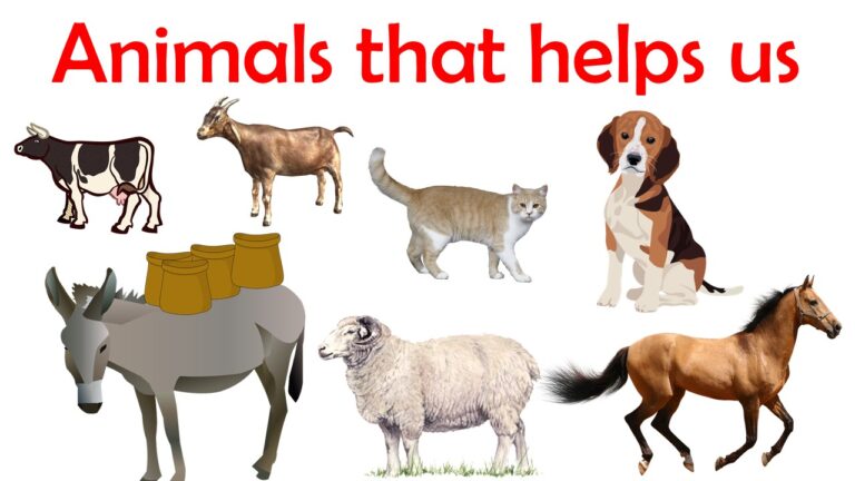 animals that helps us