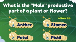Plants Quiz