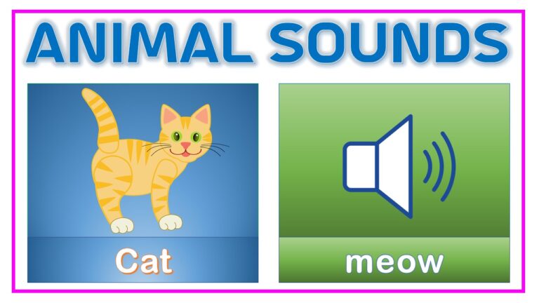 animals sound Archives - AAtoons Kids