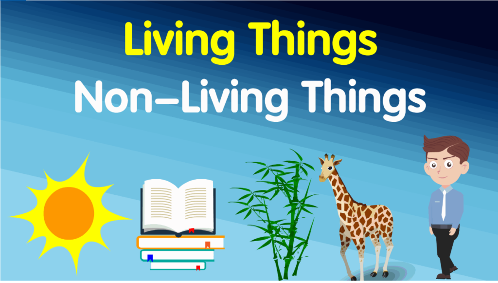Living and Non living things