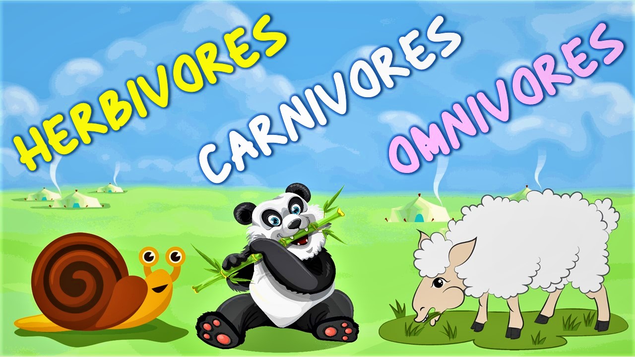 Herbivores Carnivores and Omnivores animals - AAtoons Kids