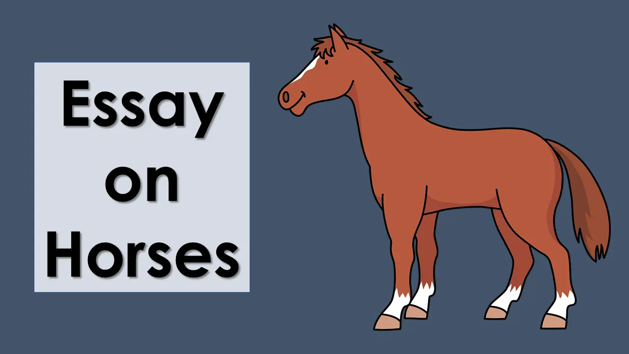 essay on horse for class 3